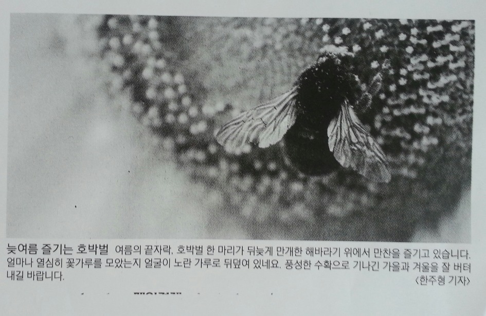 더블클릭을 하시면 이미지를 수정할 수 있습니다